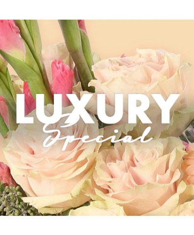 Luxury Floral Designer's Choice — Katy Florist & Gifts, Katy TX