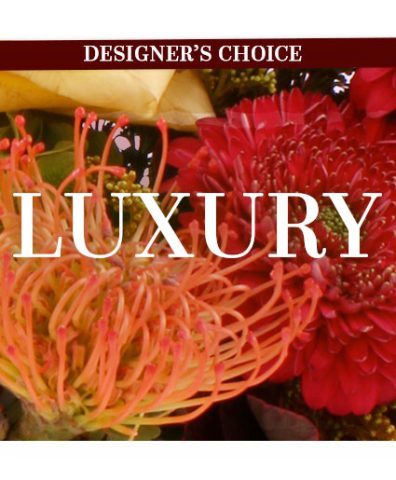 Luxury Florals Designer's Choice — Katy Florist & Gifts, Katy TX